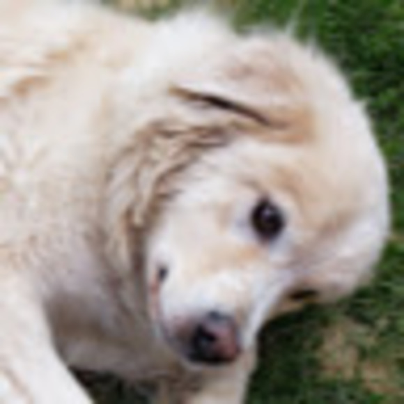 Meet your Posher, Erick - Picture 1 of 1